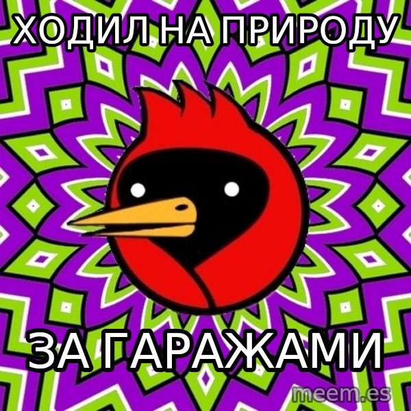 Omsk Crow meme: ходил на природу / за гаражами