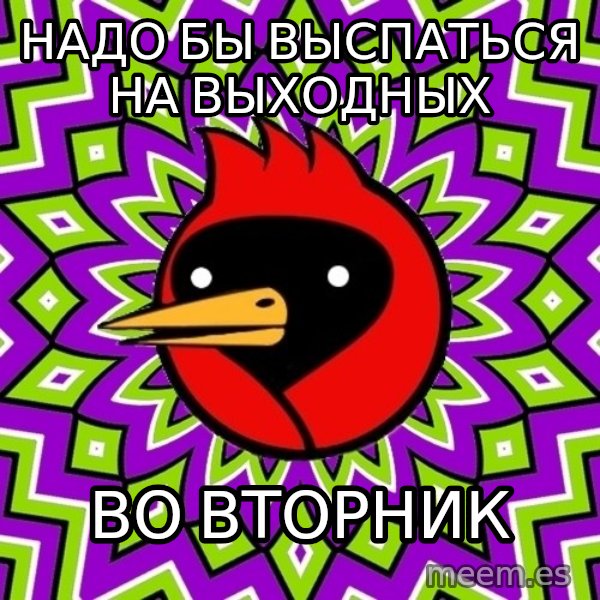Omsk Crow meme: Надо бы выспаться на выходных / во вторник