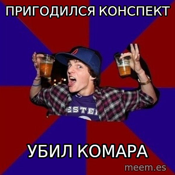 Sunny Student meme: пригодился   конспект / убил комара