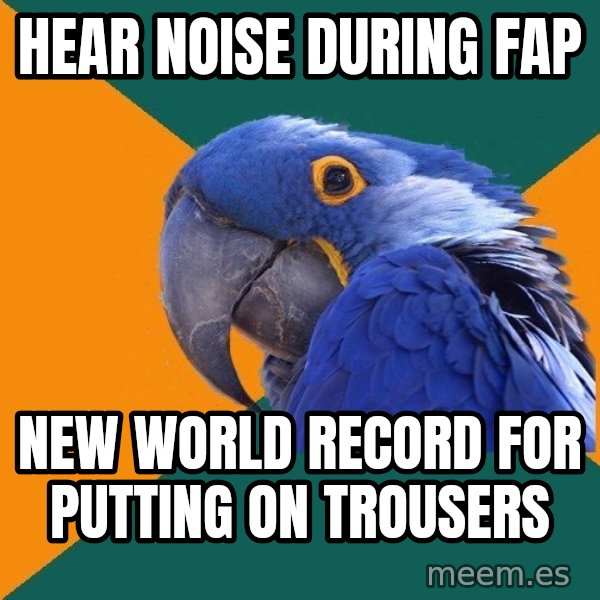 Paranoid Parrot meme: hear noise during fap / NEW world record for putting on trousers