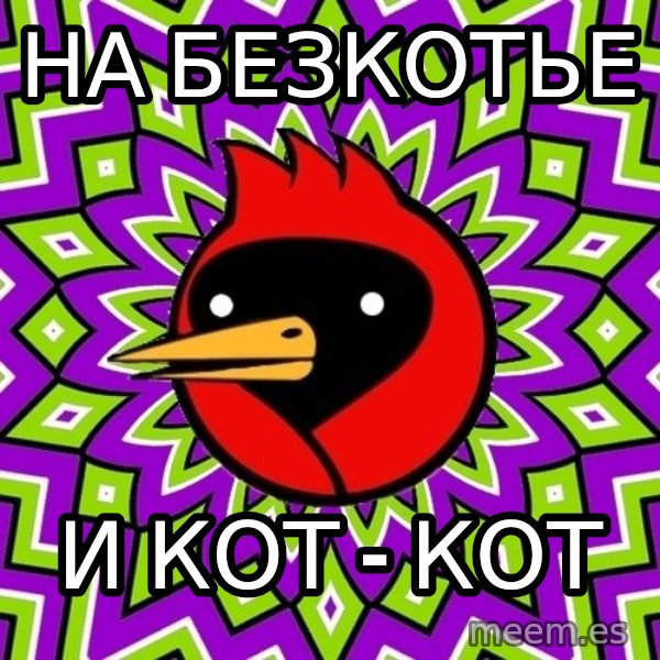 Omsk Crow meme: на безкотье / и кот - кот