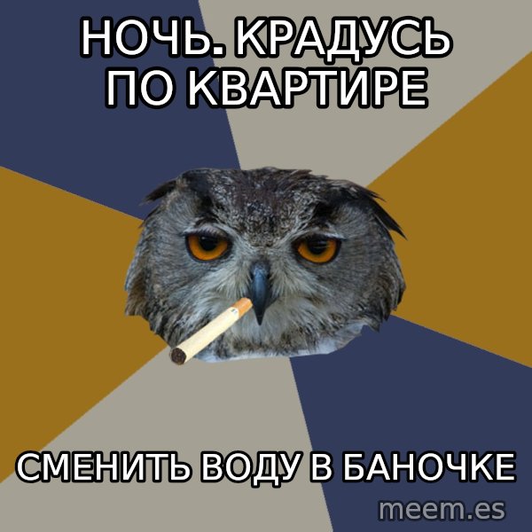 Art Student Owl meme: ночь. крадусь по квартире / сменить воду в баночке