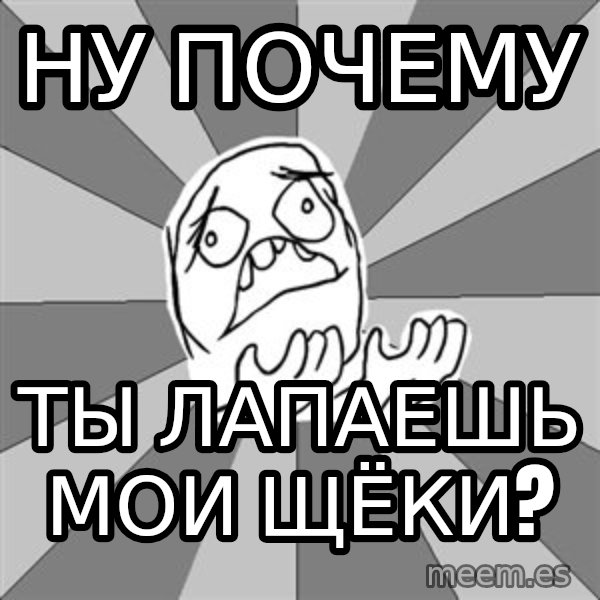 Whyyy??? meme: НУ ПОЧЕМУ / ТЫ ЛАПАЕШЬ МОИ ЩЁКИ?