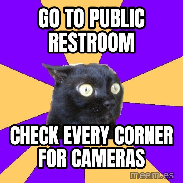 Anxiety Cat meme: go to public restroom / check every corner for cameras