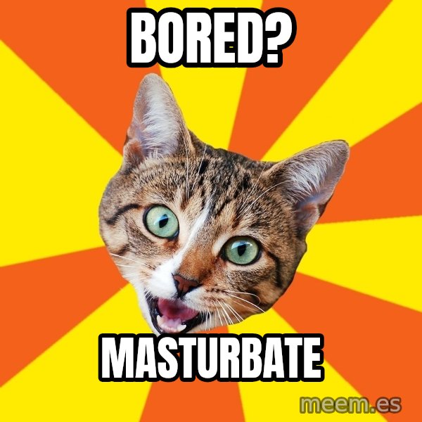 Bad Advice Cat meme: Bored? / Masturbate