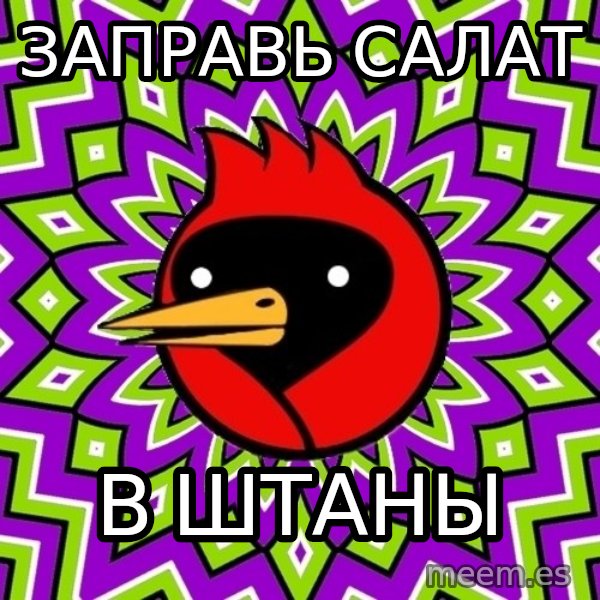 Omsk Crow meme: Заправь салат / в штаны