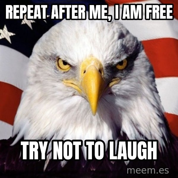 American Pride Eagle meme: repeat after me, i am free / try not to laugh