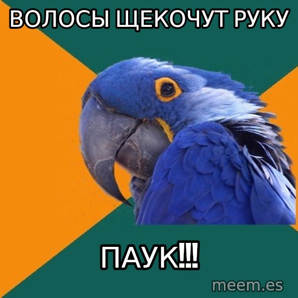 Paranoid Parrot meme: ВОЛОСЫ ЩЕКОЧУТ РУКУ / паук!!!