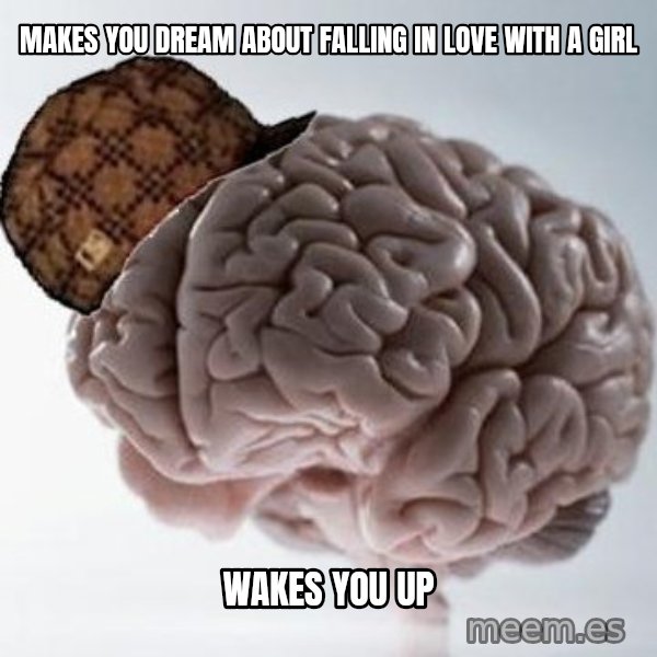 Scumbag Brain meme: Makes you dream about falling in love with a girl / wakes you up