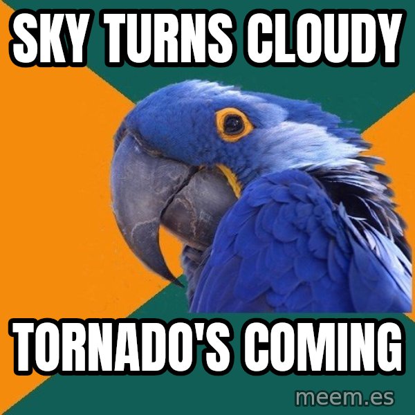Paranoid Parrot meme: Sky turns cloudy / Tornado's coming