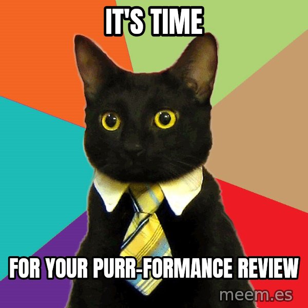 Business Cat meme: It's time / for your purr-formance review