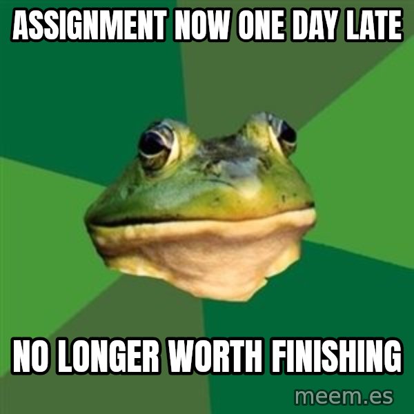 Foul Bachelor Frog meme: Assignment now one day late / no longer worth finishing