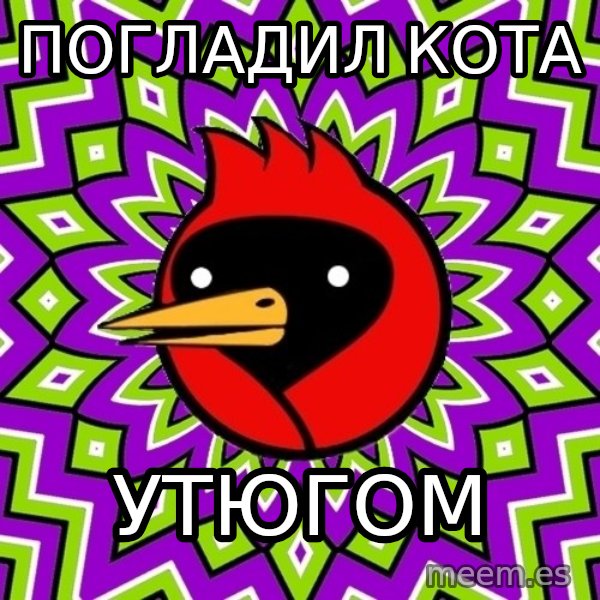 Omsk Crow meme: Погладил кота / утюгом
