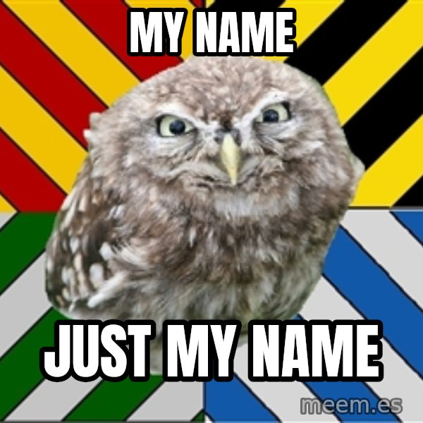 JEALOUS POTTEROMAN meme: My name / just my name