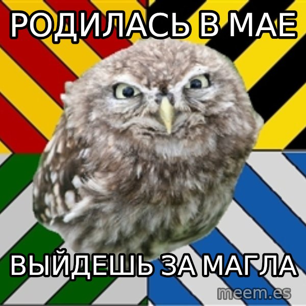 JEALOUS POTTEROMAN meme: родилась в мае / выйдешь за магла