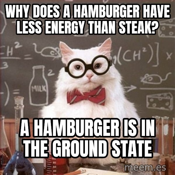 Science Cat meme: Why does a hamburger have less energy than steak? / a hamburger is in the ground state