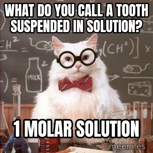 Science Cat meme: What do you call a tooth suspended in solution? / 1 molar solution