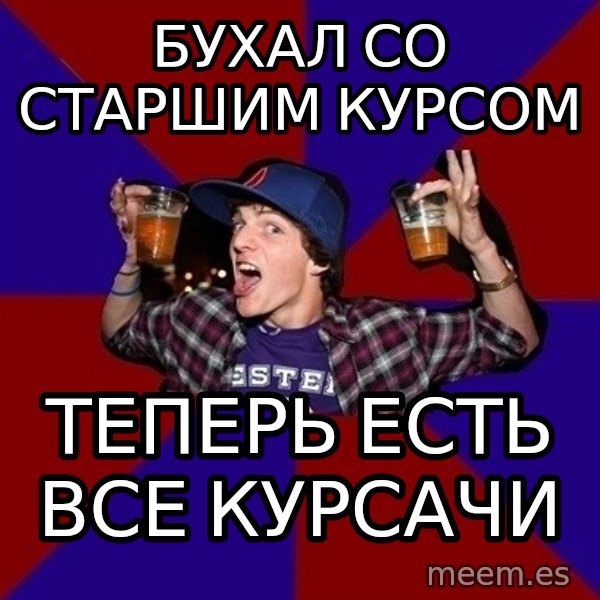Sunny Student meme: бухал со старшим курсом / теперь есть   все курсачи