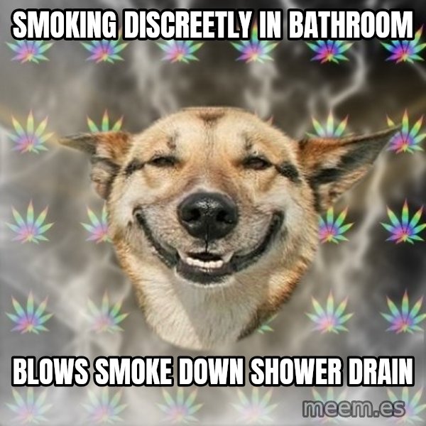 Stoner Dog meme: Smoking discreetly in bathroom / blows smoke down shower drain