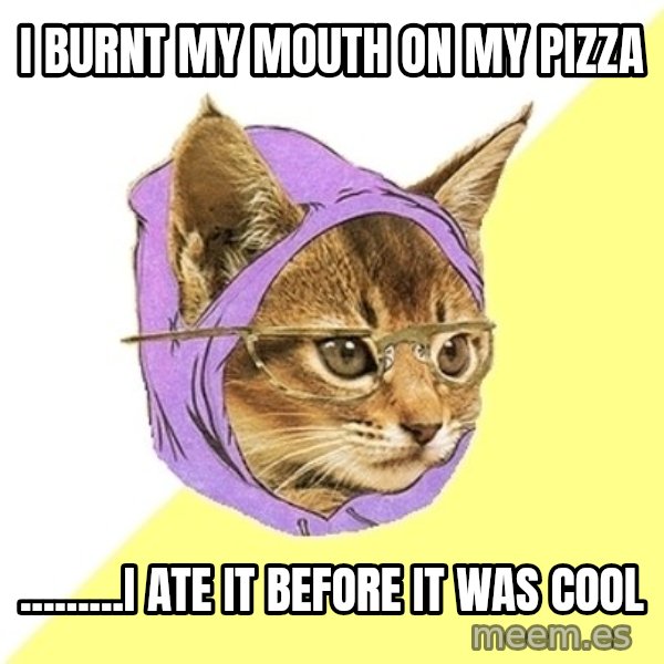 Hipster Kitty meme: I burnt my mouth on my pizza / .........i ate it before it was cool