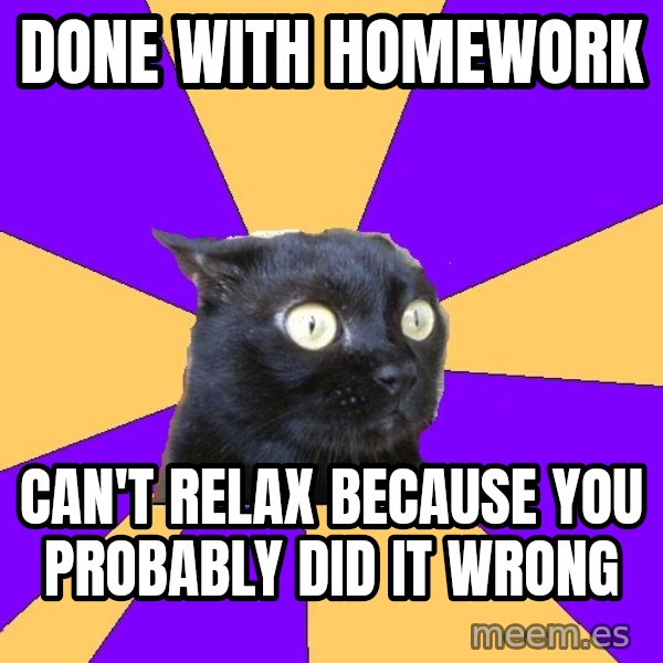 Anxiety Cat meme: DONE WITH HOMEWORK / CAN'T RELAX BECAUSE YOU PROBABLY DID IT WRONG