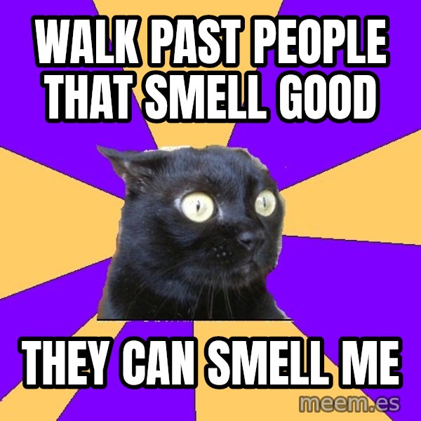 Anxiety Cat meme: WALK PAST PEOPLE THAT SMELL GOOD / THEY CAN SMELL ME