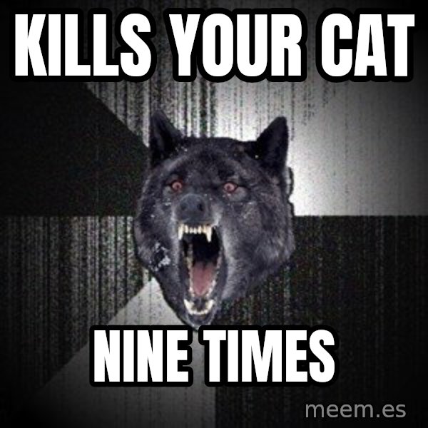 Insanity Wolf meme: kills your cat / nine times