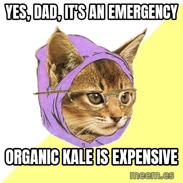 Hipster Kitty meme: Yes, Dad, it's an emergency / Organic kale is expensive