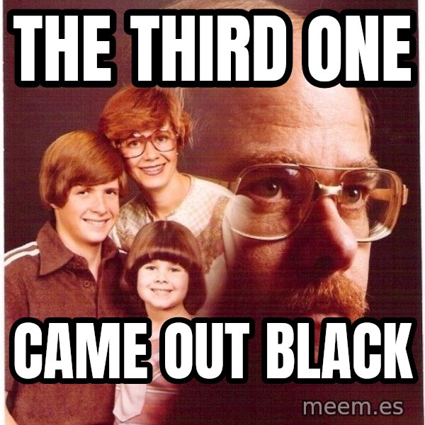 Vengeance Dad meme: the third one / came out black