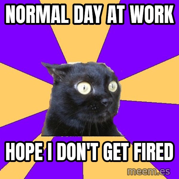 Anxiety Cat meme: Normal Day at work / Hope i don't get fired