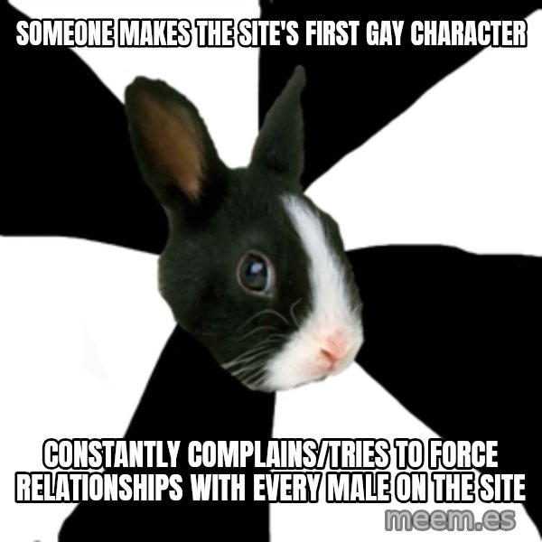 Roleplaying Rabbit meme: Someone makes the site's first gay character / Constantly complains/Tries to force relationships with every male on the site