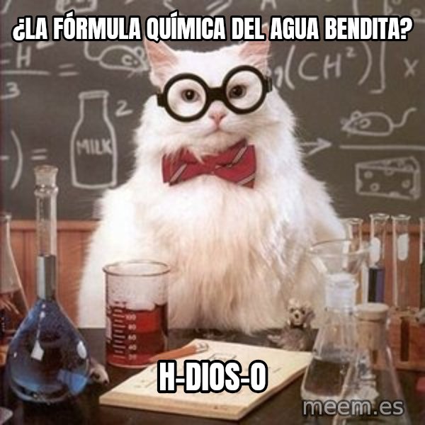 Chemistry Cat meme: ¿la fórmula química del agua bendita? / H-dios-O