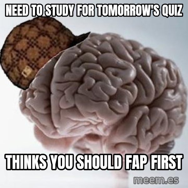 Scumbag Brain meme: Need to study for tomorrow's quiz / thinks you should fap first