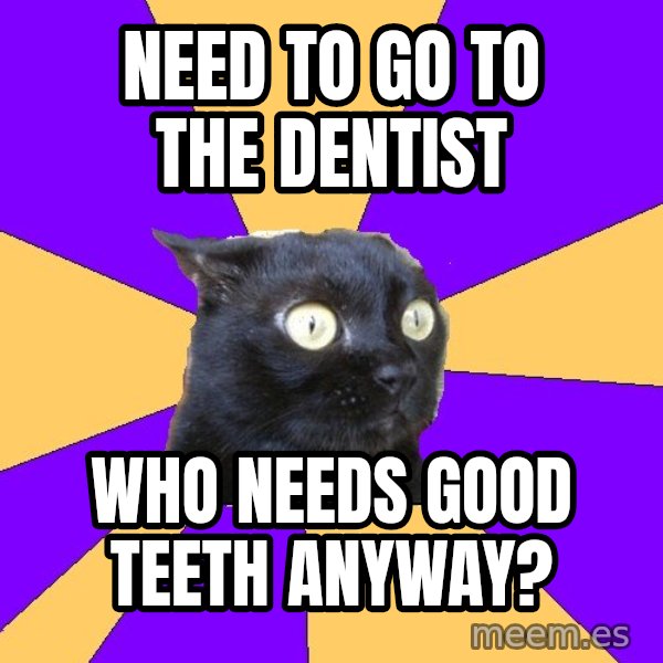 Anxiety Cat meme: need to go to the dentist / who needs good teeth anyway?