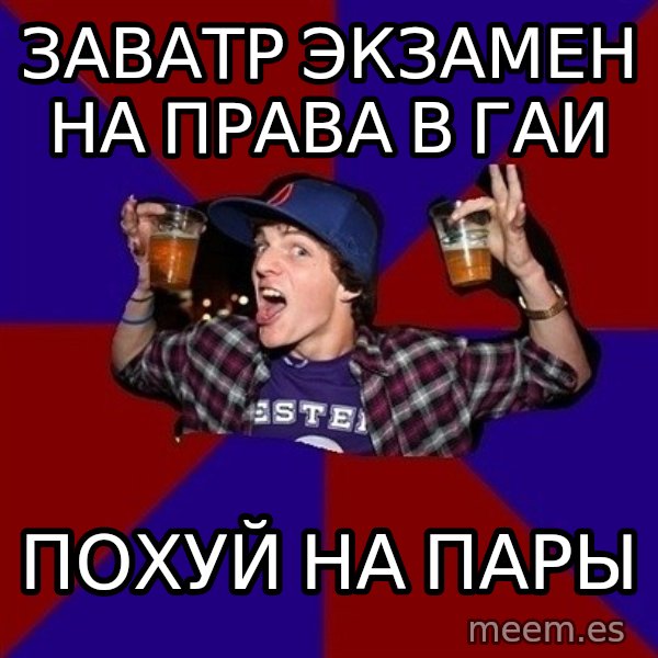 Sunny Student meme: Заватр экзамен на права в гаи / похуй на пары