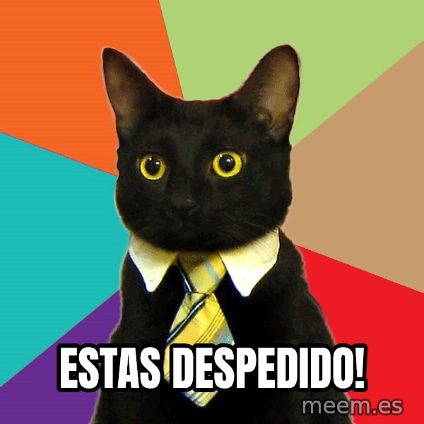 Business Cat meme: estas despedido!