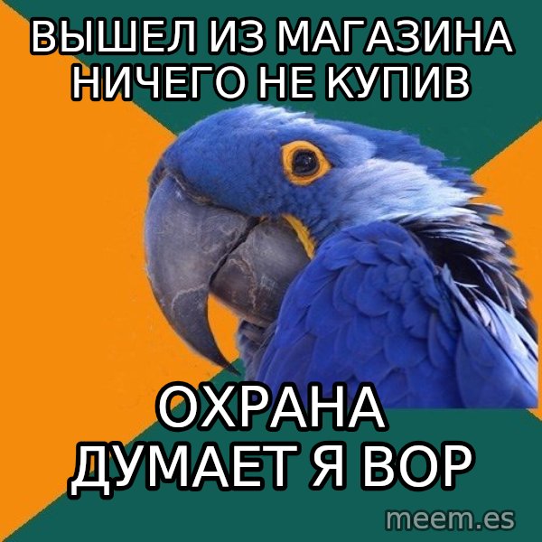 Paranoid Parrot meme: Вышел из магазина ничего не купив / Охрана думает я вор