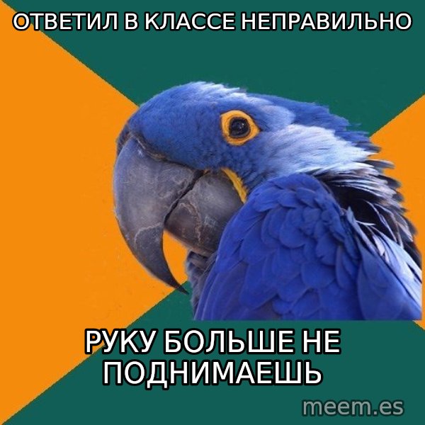 Paranoid Parrot meme: Ответил в классе неправильно / руку больше не поднимаешь