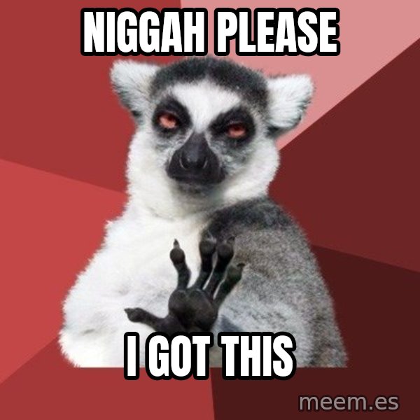 Chill Out Lemur meme: Niggah please / I got this