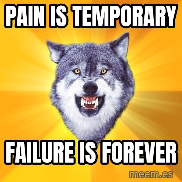 Courage Wolf meme: Pain is temporary / Failure is forever