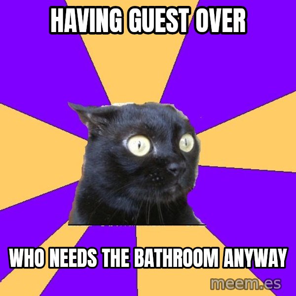 Anxiety Cat meme: Having guest over / who needs the bathroom anyway