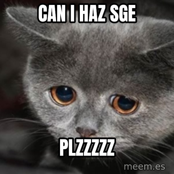 Sadcat meme: can i haz SGE / PLZZZZZ