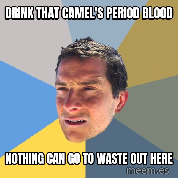 Bear Grylls meme: drink that camel's period blood / Nothing can go to waste out here