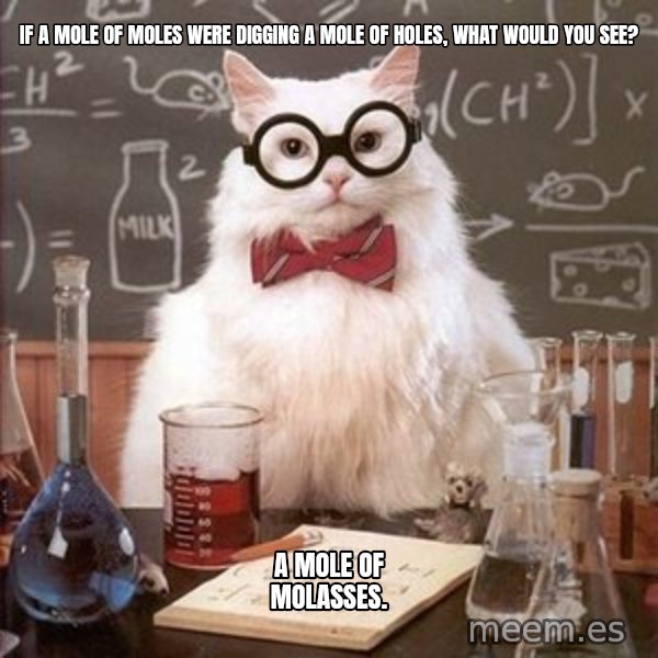 Chemistry Cat meme: If a mole of moles were digging a mole of holes, what would you see? / A mole of molasses.