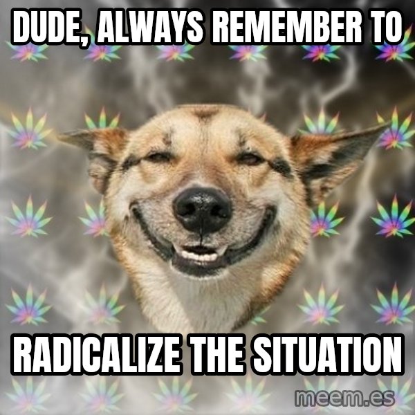Stoner Dog meme: dude, always remember to / radicalize the situation