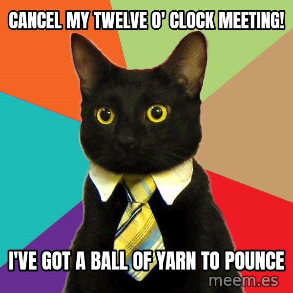 Business Cat meme: cancel my twelve o' clock meeting! / i've got a ball of yarn to pounce