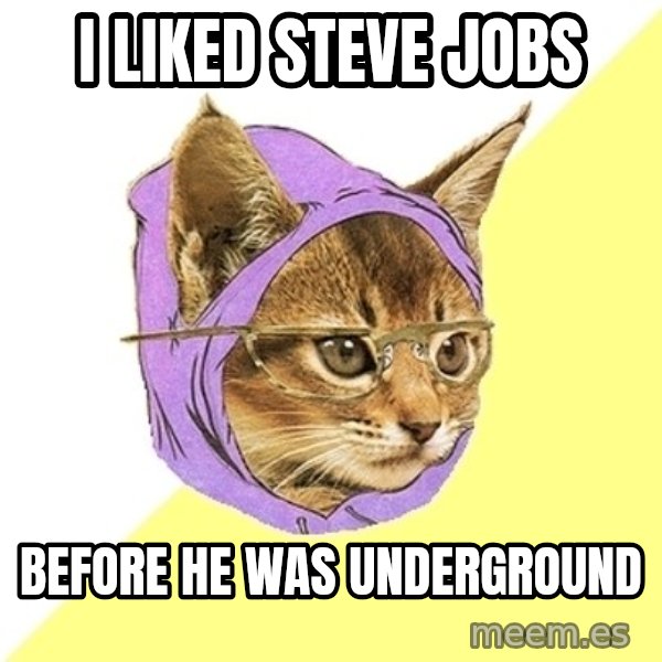 Hipster Kitty meme: I Liked Steve Jobs / Before he was underground