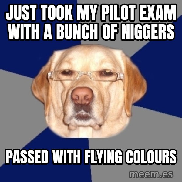 Racist Dog meme: just took my pilot exam with a bunch of niggers / passed with flying colours