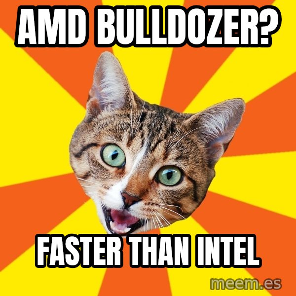 Bad Advice Cat meme: amd bulldozer? / faster than intel