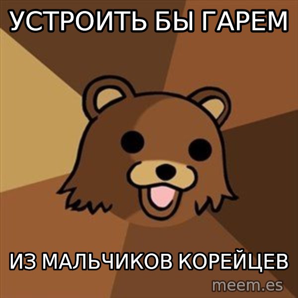 Pedobear meme: устроить бы гарем / из мальчиков корейцев